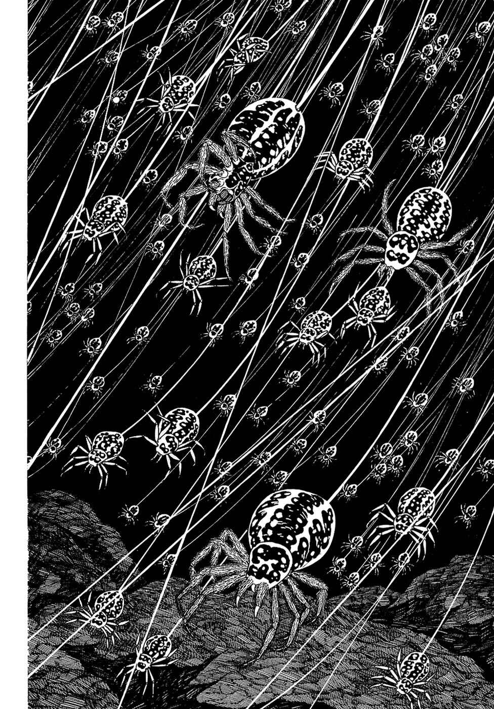 Page 47 Chapter 24.1 Ryus Road