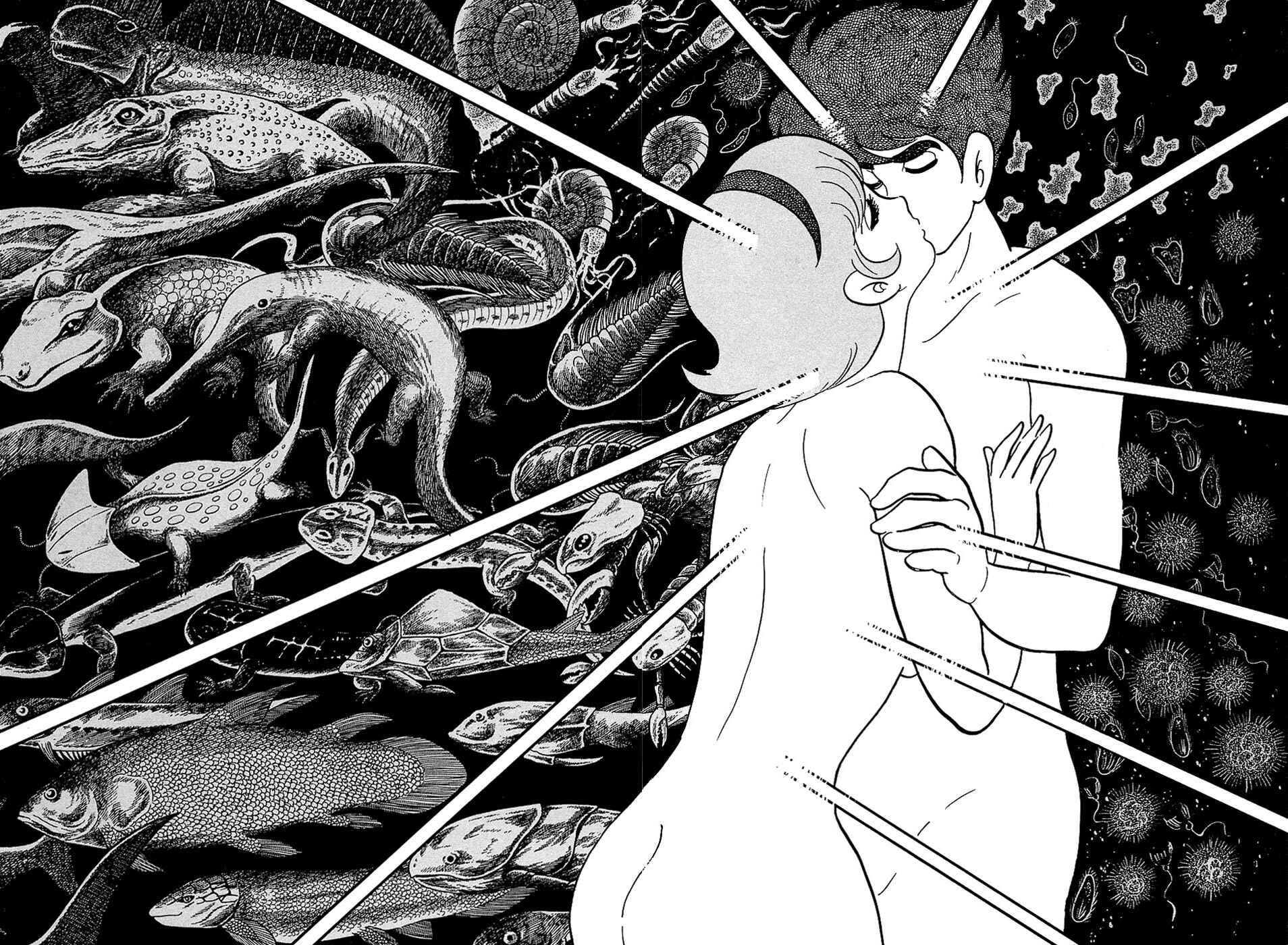 Page 41 Chapter 28.2 Ryus Road