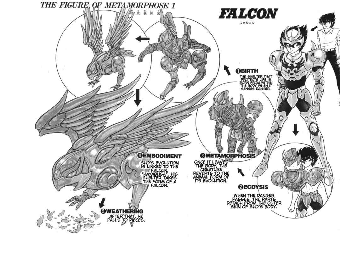 Page 40 Chapter 8 Silent Knight Sho