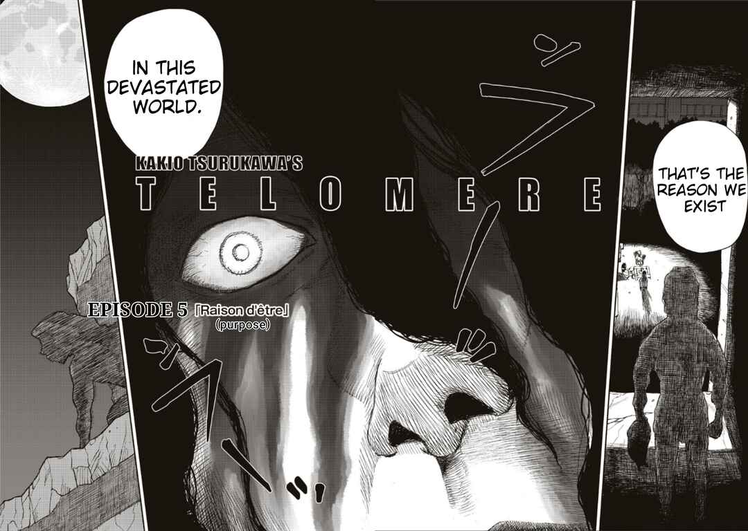 Page 6 Chapter 5 TELOMERE