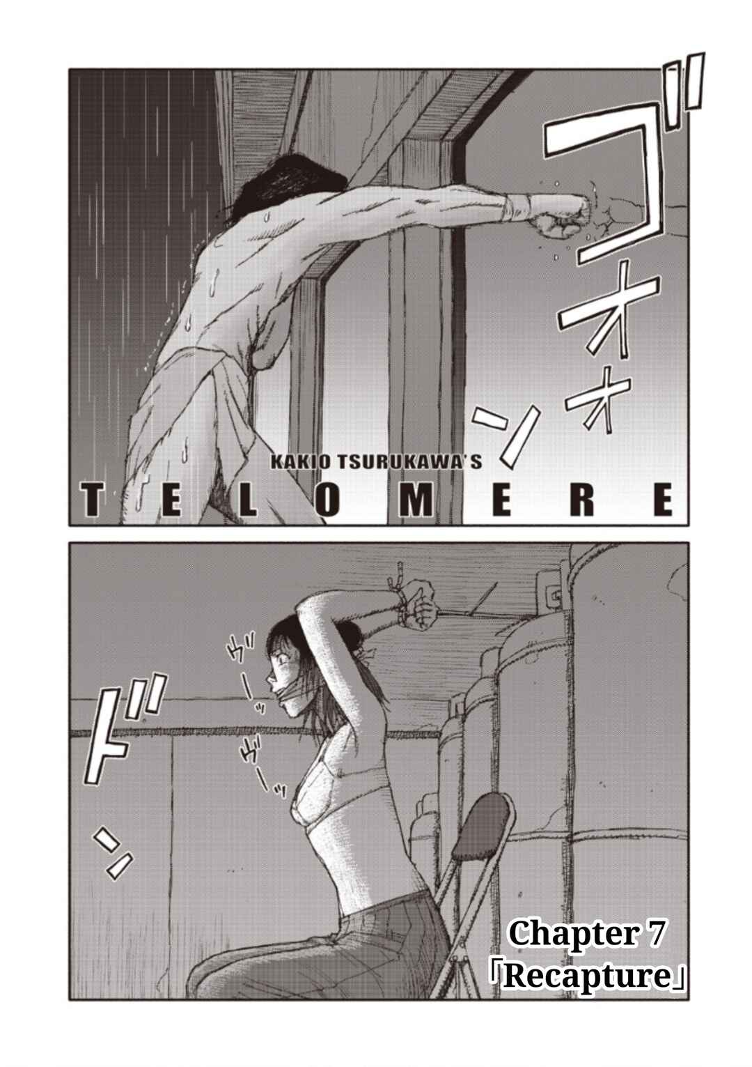 Page 12 Chapter 7 TELOMERE