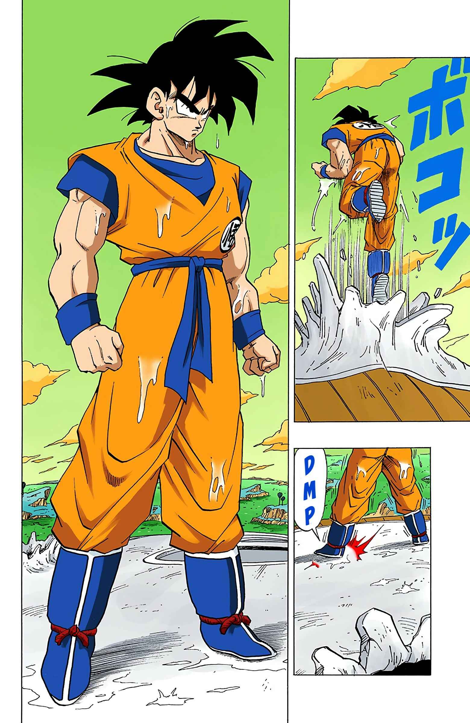 Page 13 Chapter 306 Dragon Ball (Official Colored)
