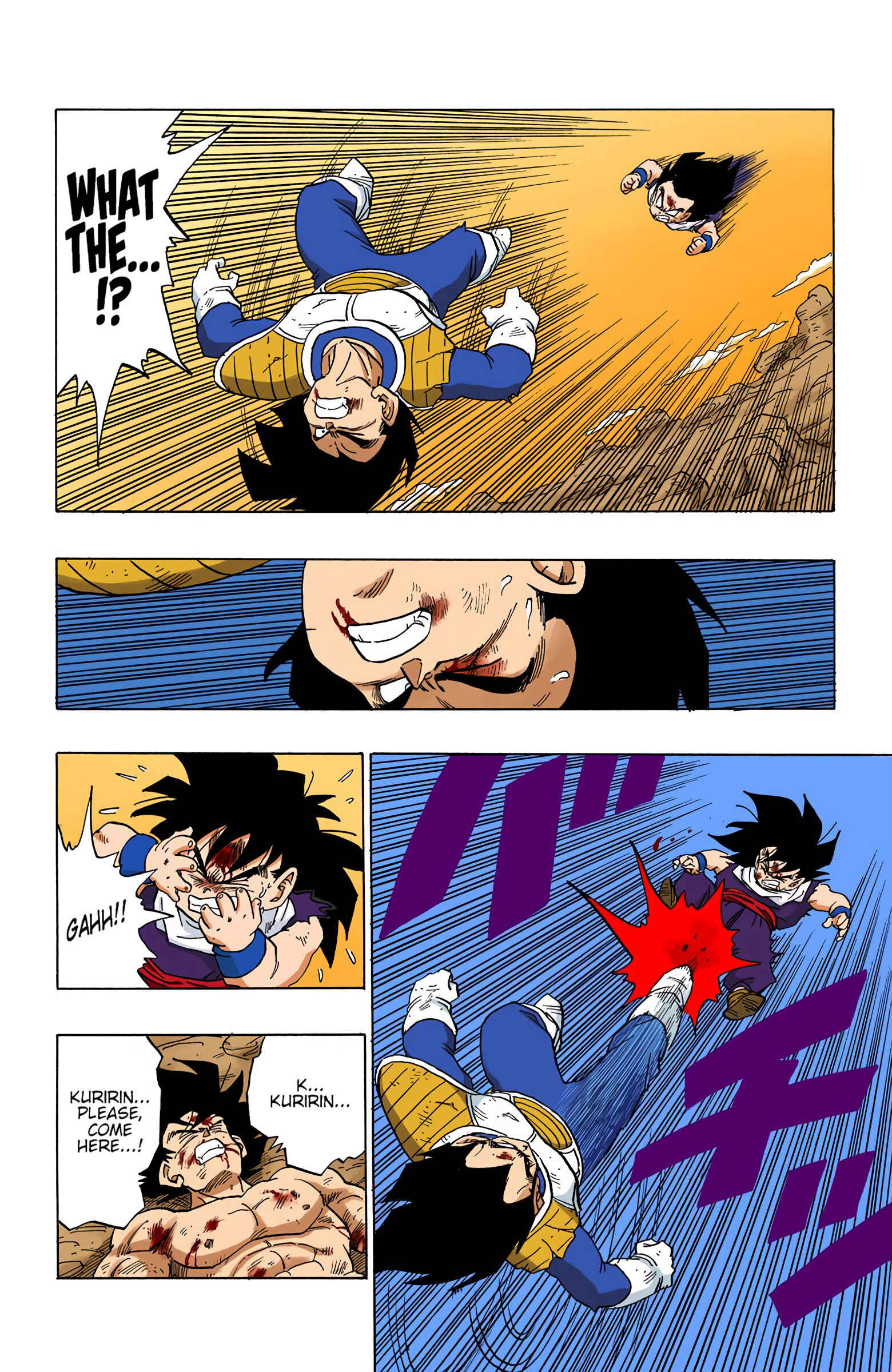 Page 14 Chapter 236 Dragon Ball (Official Colored)