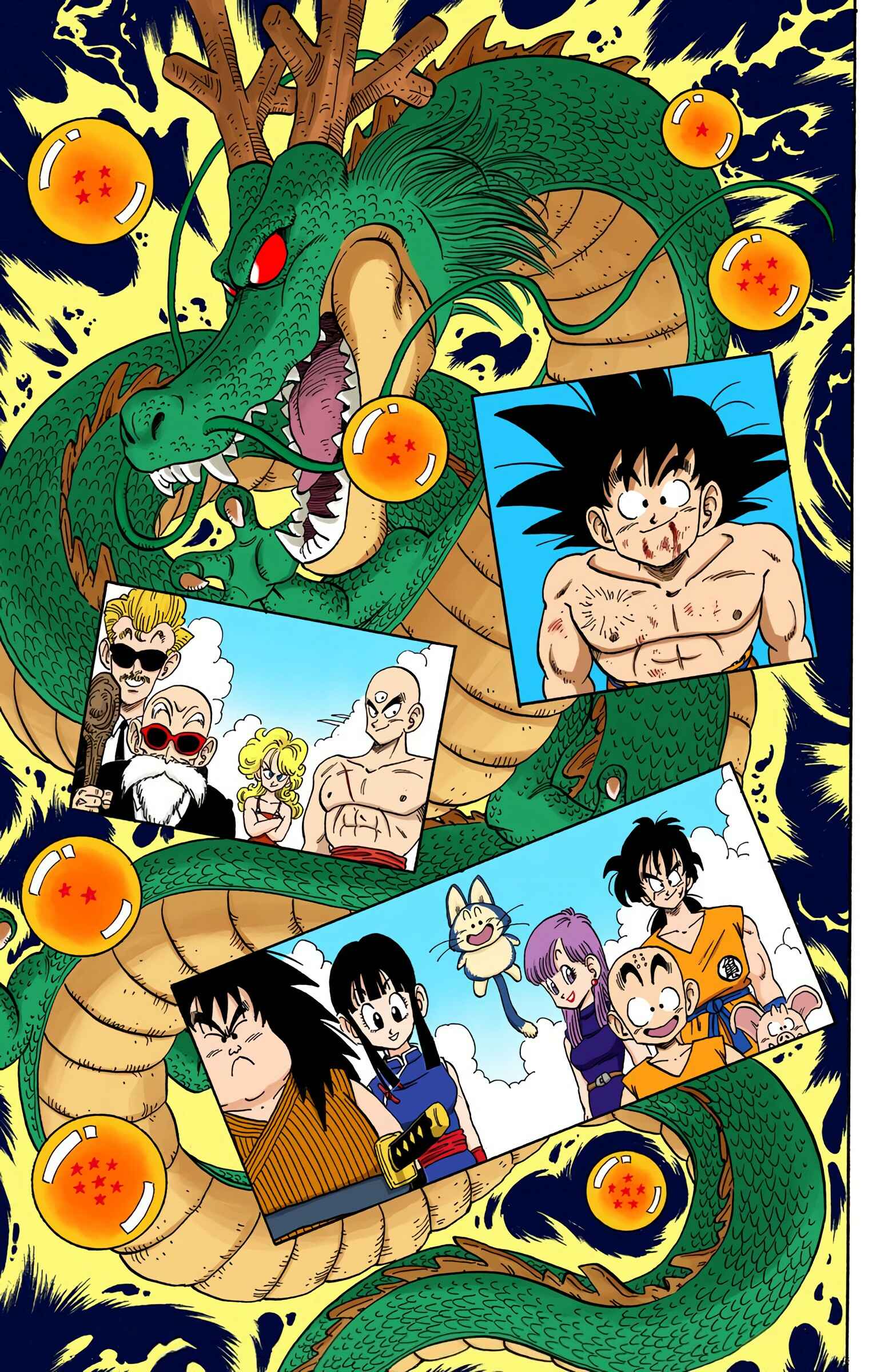 Page 9 Chapter 194 Dragon Ball (Official Colored)