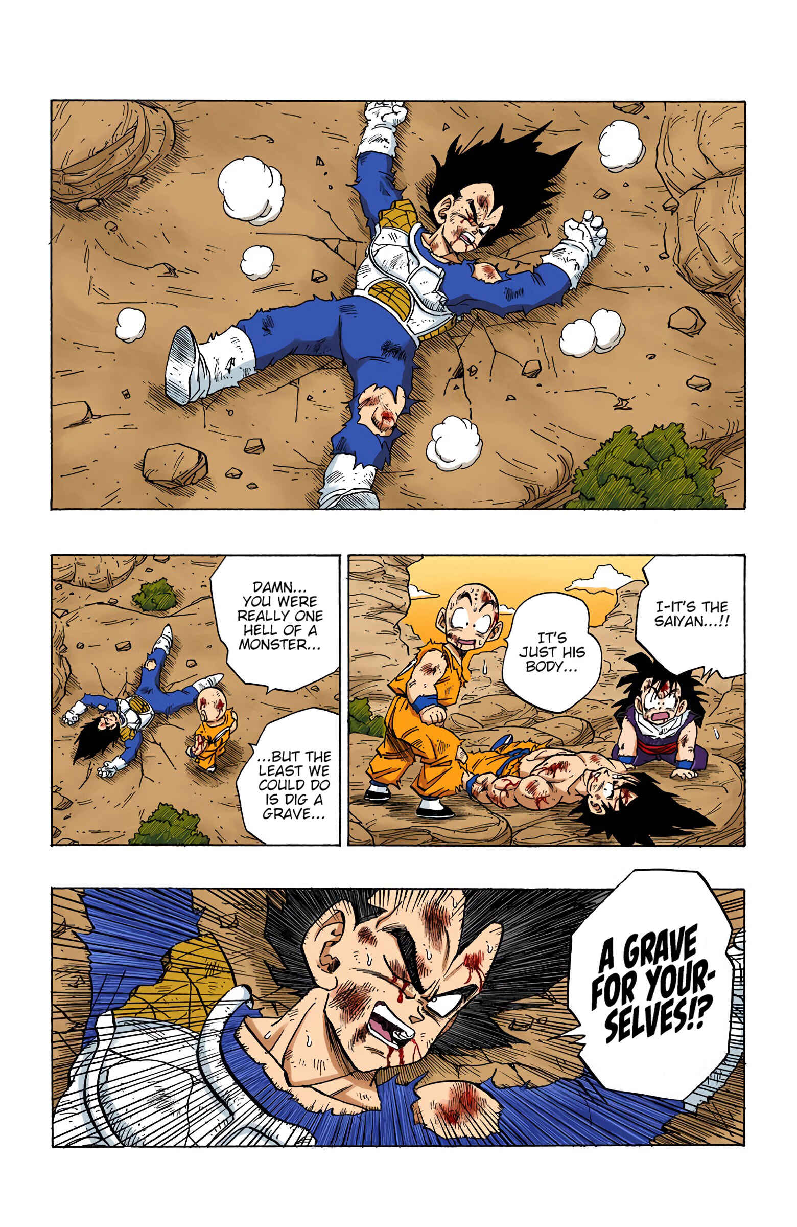 Page 13 Chapter 238 Dragon Ball (Official Colored)
