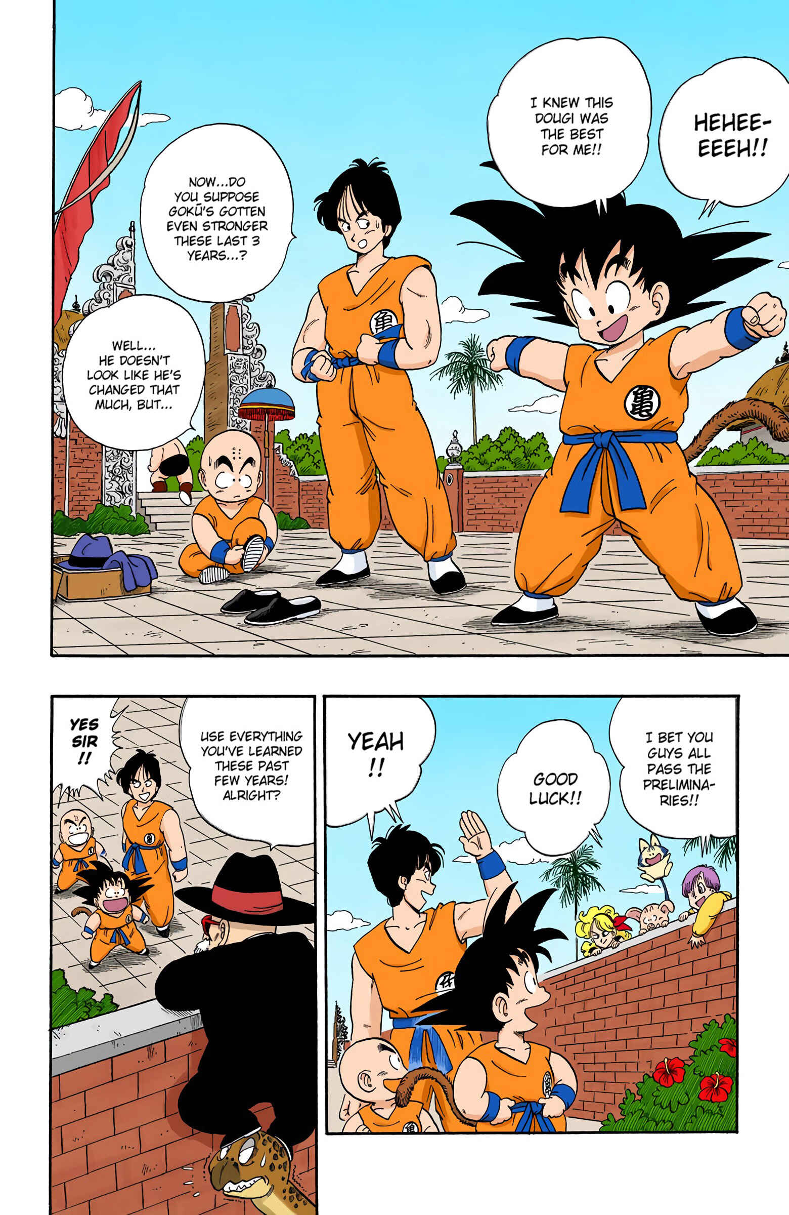 Page 13 Chapter 113 Dragon Ball (Official Colored)