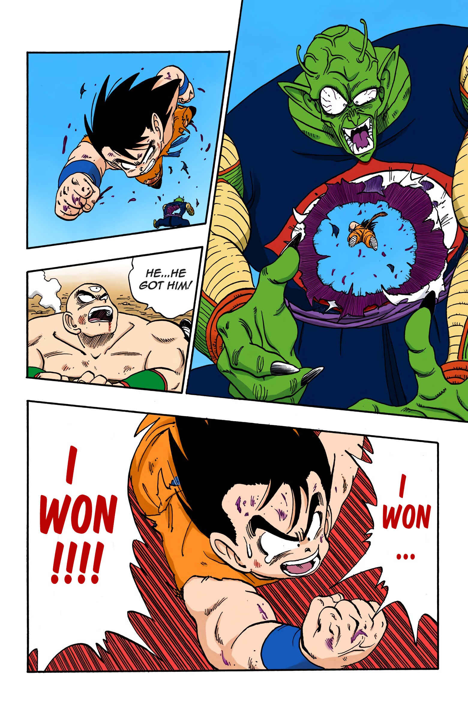 Page 6 Chapter 161 Dragon Ball (Official Colored)