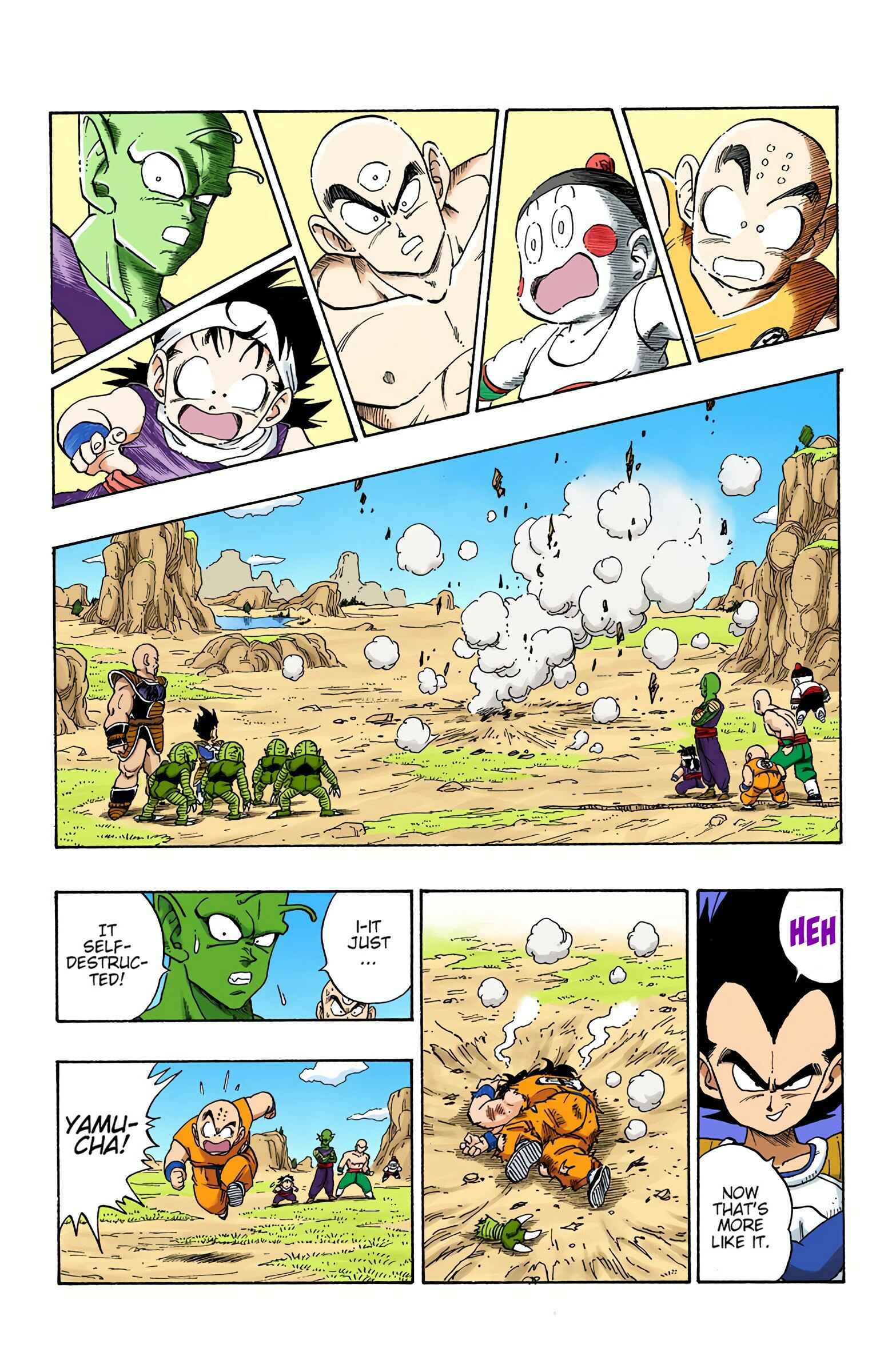 Page 13 Chapter 215 Dragon Ball (Official Colored)
