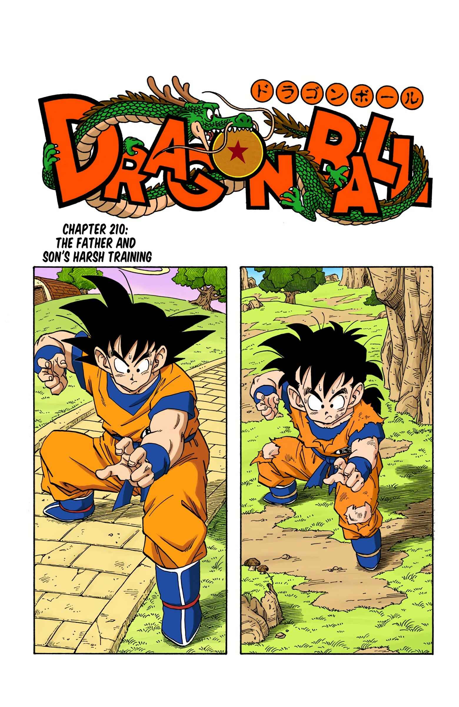 Page 1 Chapter 210 Dragon Ball (Official Colored)