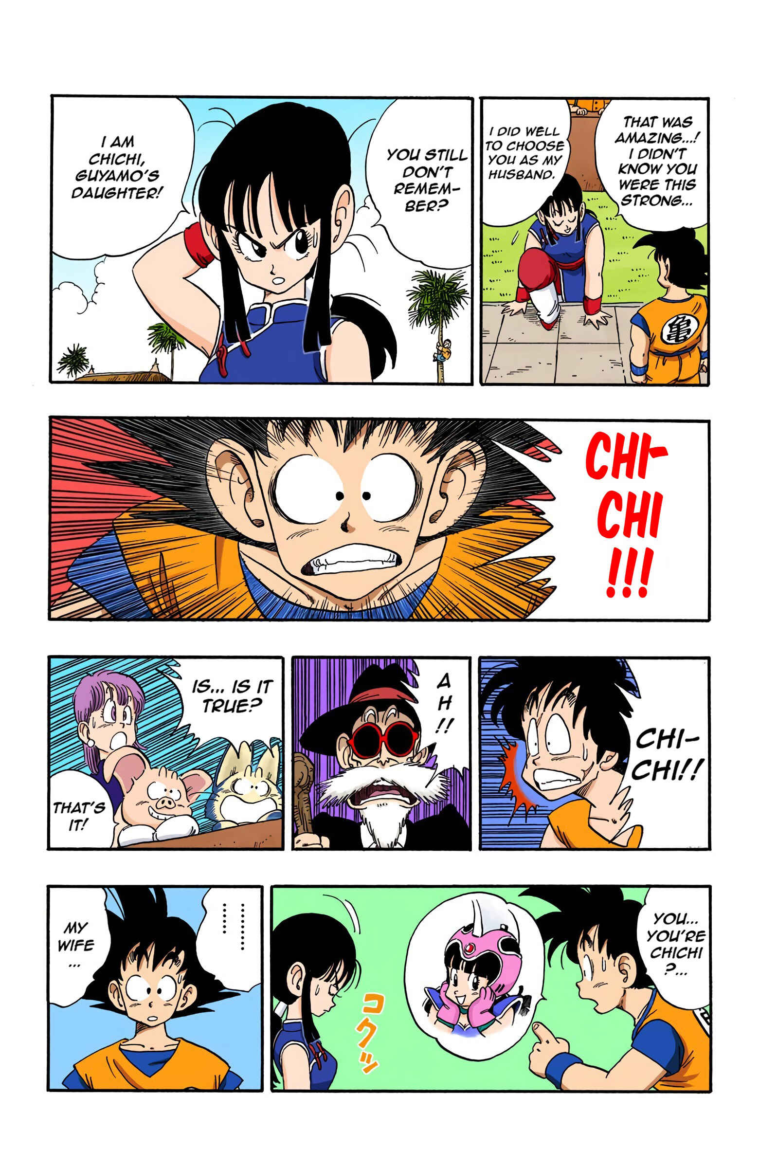 Page 13 Chapter 171 Dragon Ball (Official Colored)
