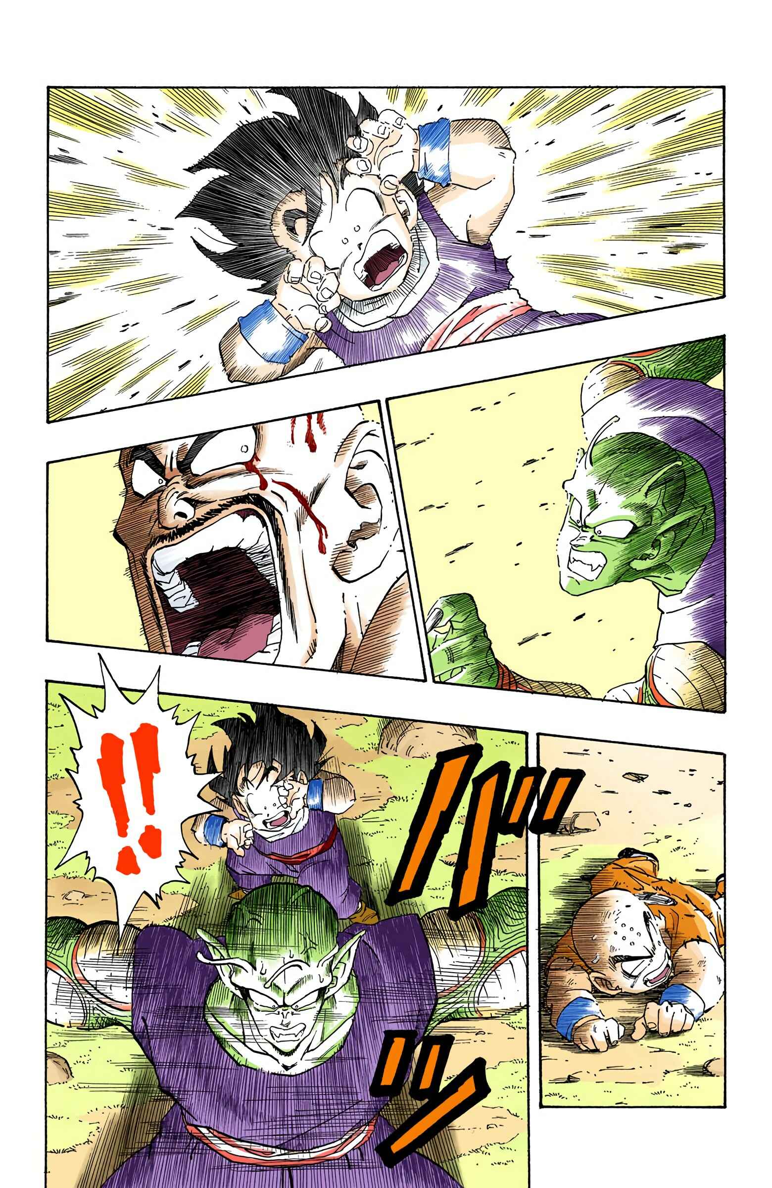 Page 14 Chapter 222 Dragon Ball (Official Colored)