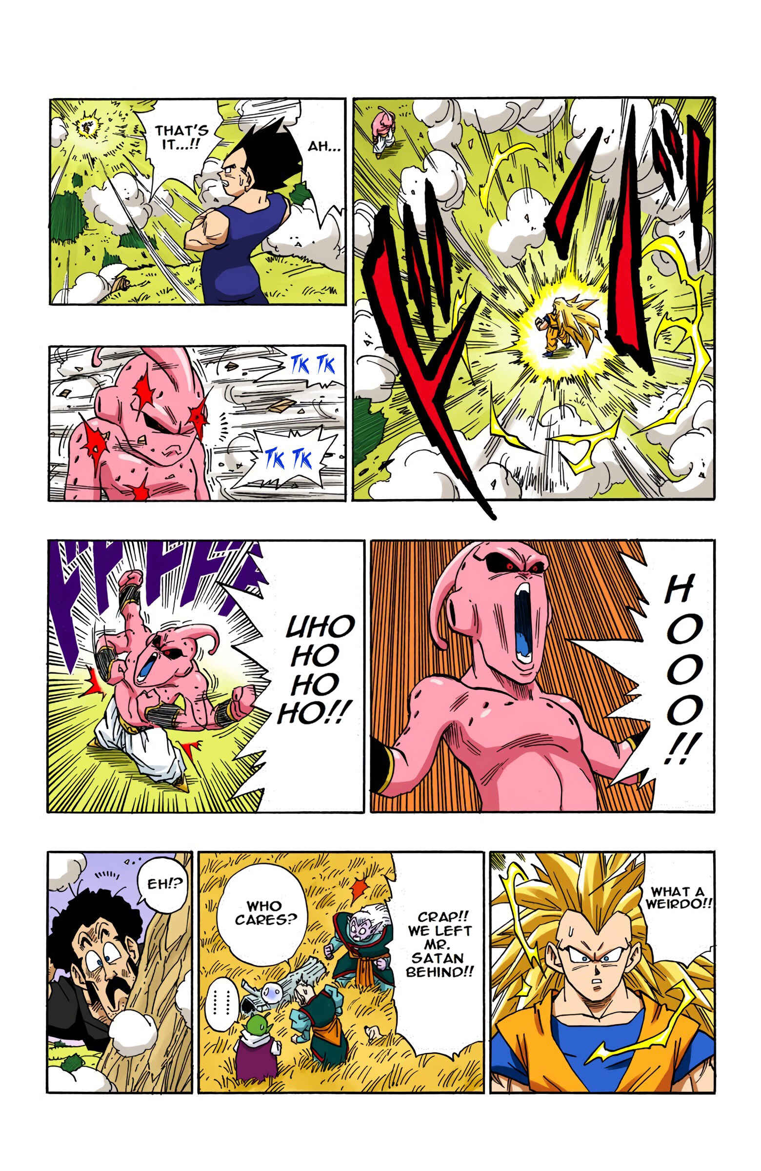 Page 13 Chapter 509 Dragon Ball (Official Colored)