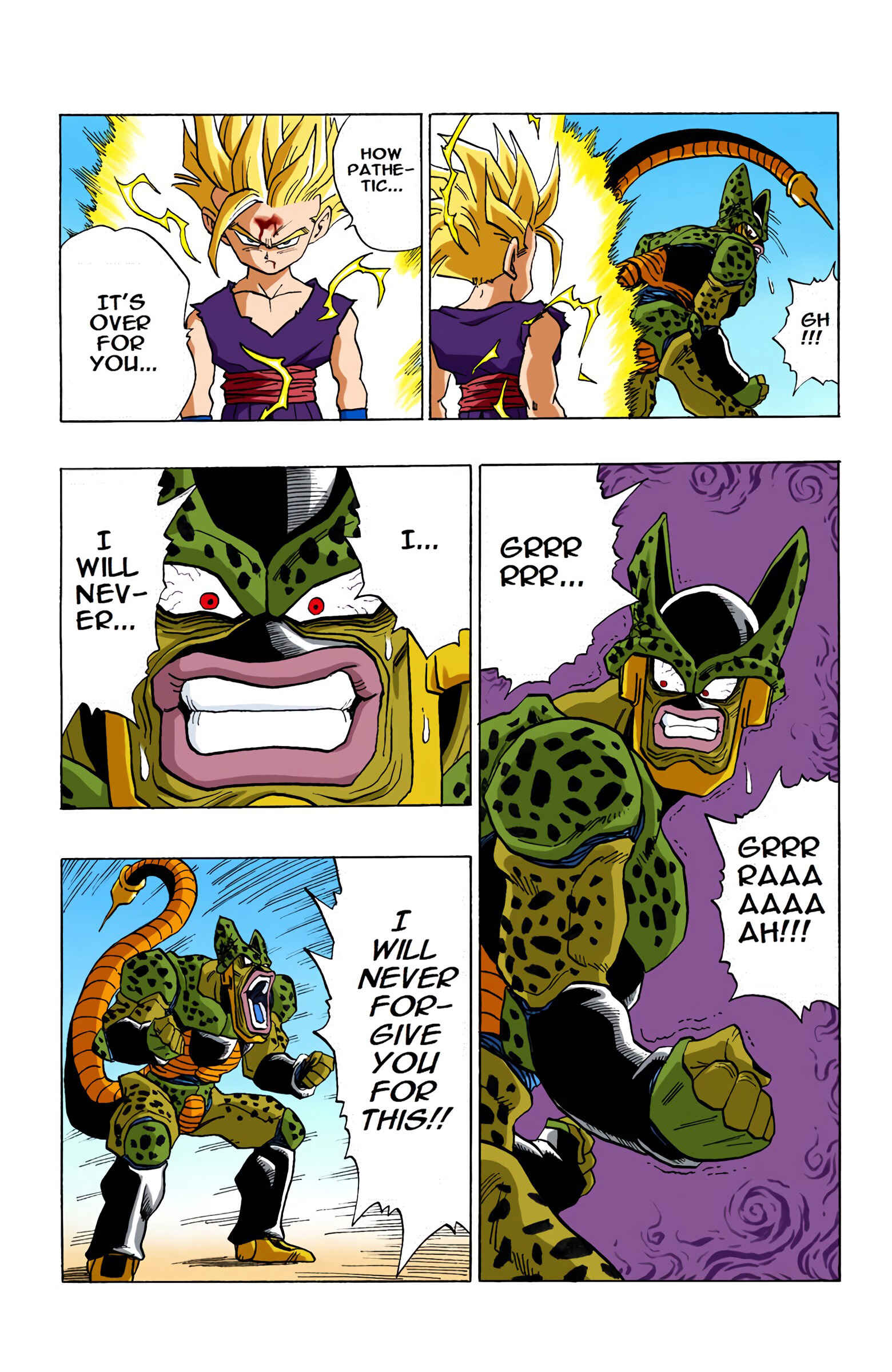 Page 13 Chapter 411 Dragon Ball (Official Colored)