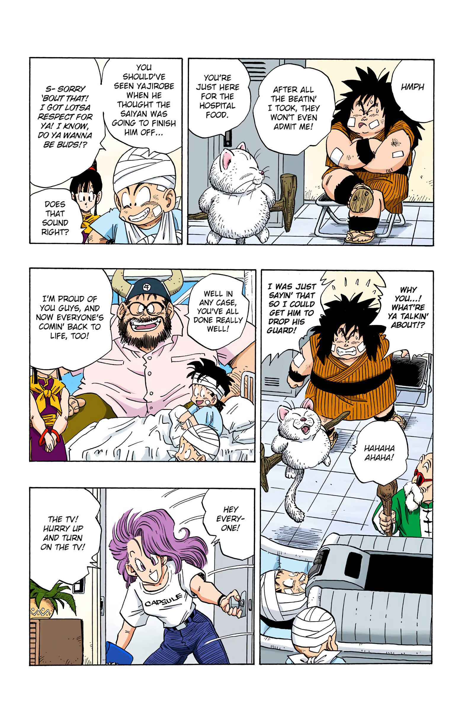 Page 11 Chapter 243 Dragon Ball (Official Colored)