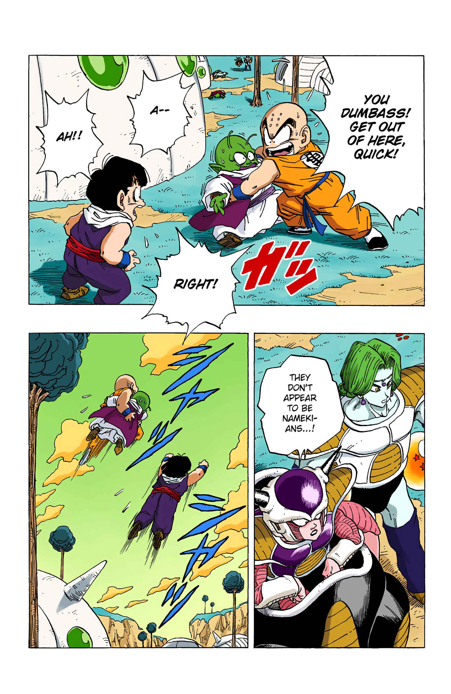 Page 13 Chapter 255 Dragon Ball (Official Colored)