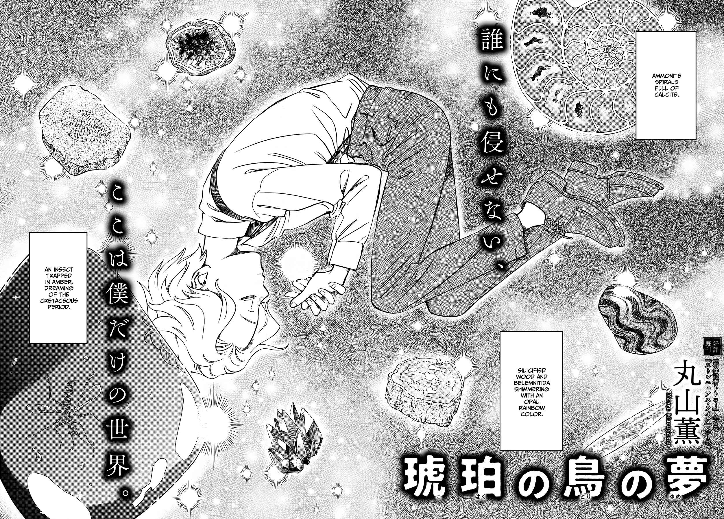 Page 2 Chapter Unknown_b1e9 Dream of the Amber Bird