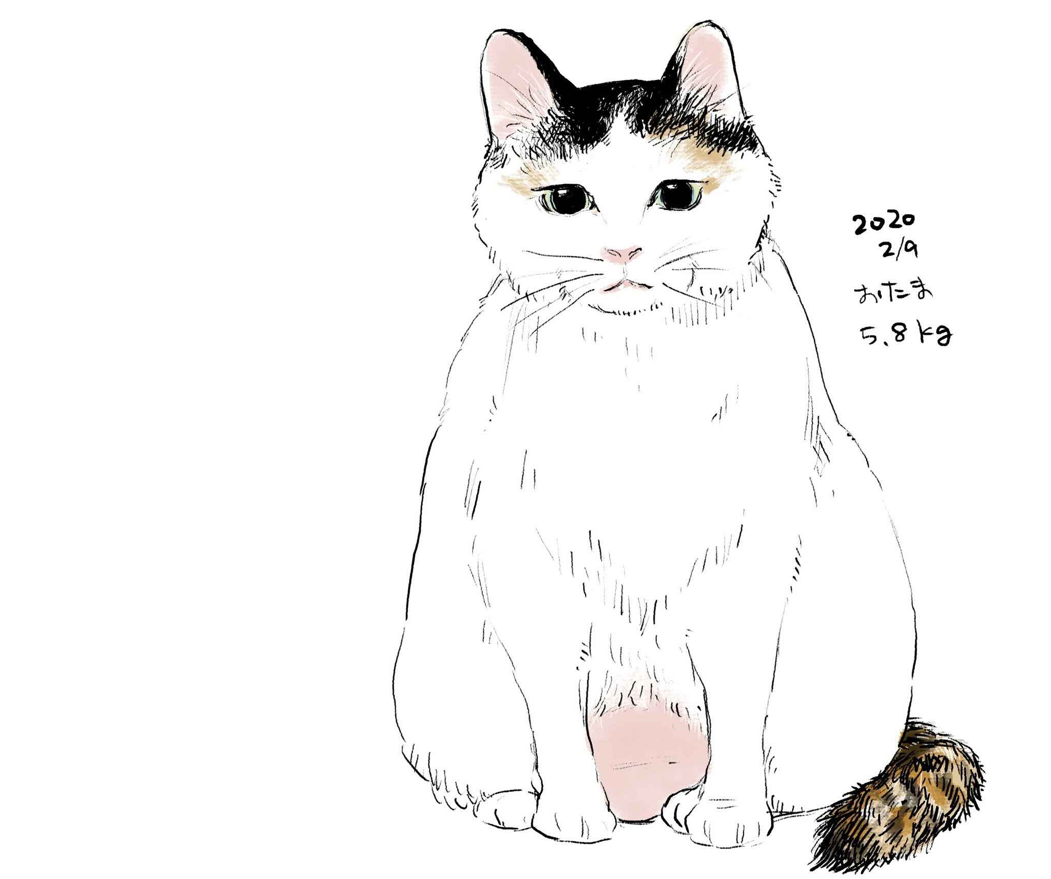 Page 35 Chapter 1 Neko to Wakagashira