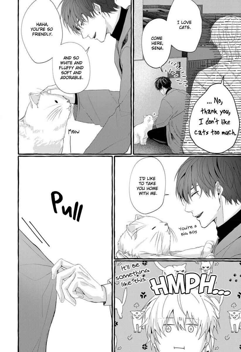 Page 4 Chapter 6.5 Kimi ga Inaku Natta Fuyu no Umi