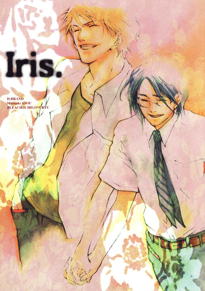 Page 4 Chapter Unknown_8427 Bleach - Iris. (Doujinshi)