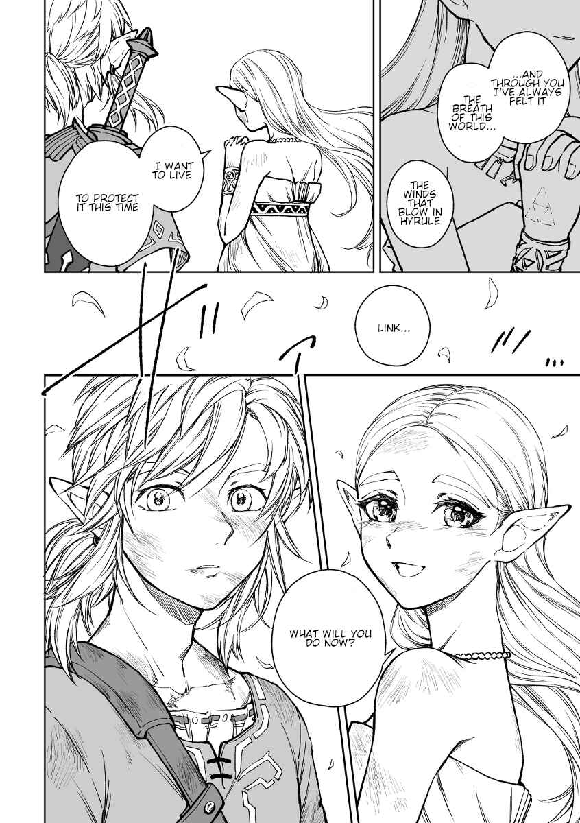 Page 19 Chapter Unknown_a682 The Legend of Zelda - The Cycle of the Goddess and the Hero (Doujinshi)