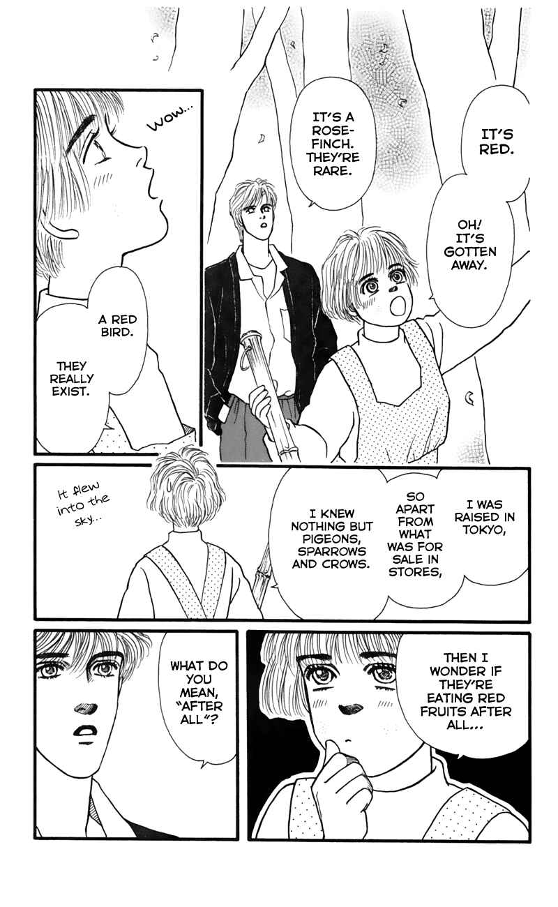 Page 38 Chapter 53 For the Sake of the Rose