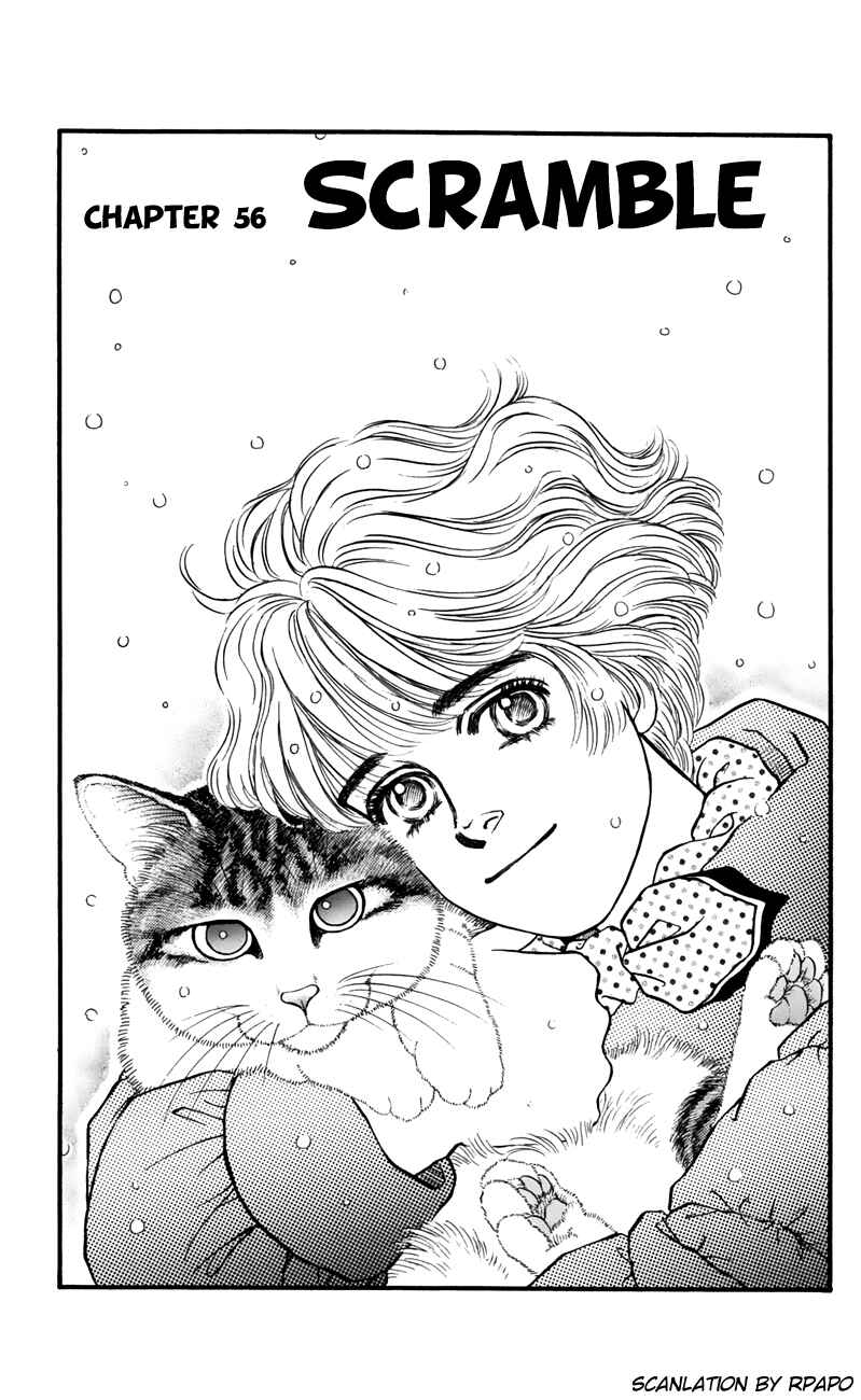 Page 1 Chapter 56 For the Sake of the Rose