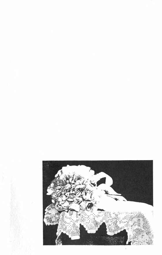 Page 2 Chapter 21 For the Sake of the Rose