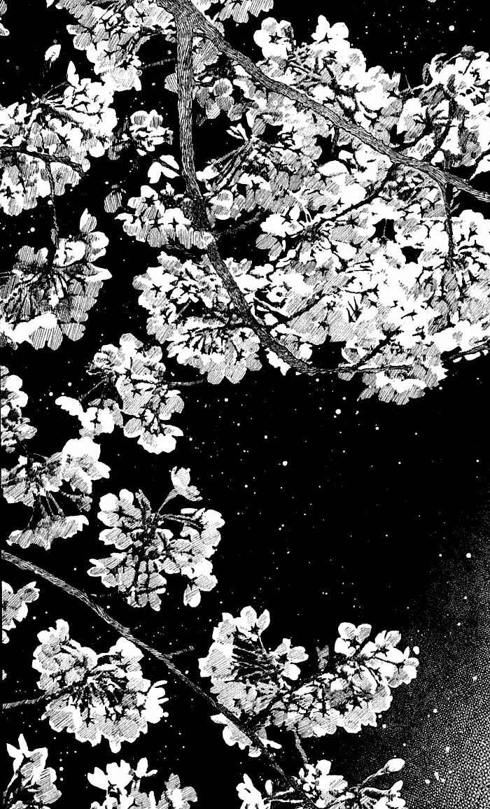 Page 57 Chapter 37 For the Sake of the Rose
