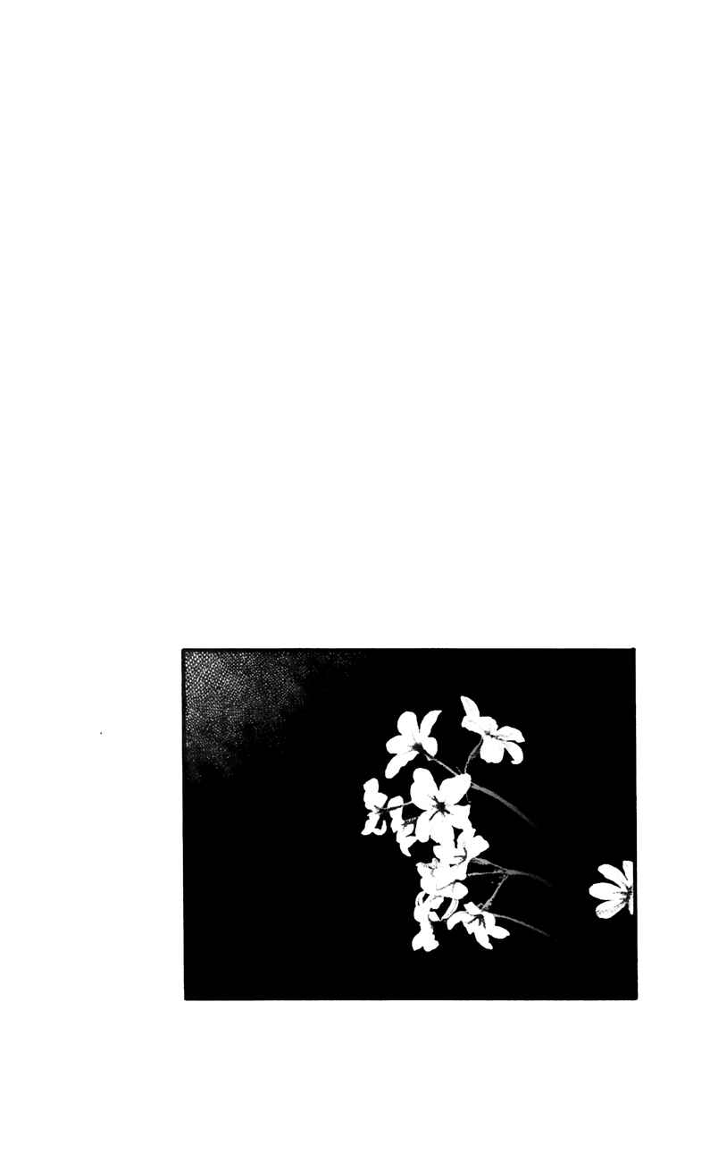 Page 3 Chapter 54 For the Sake of the Rose