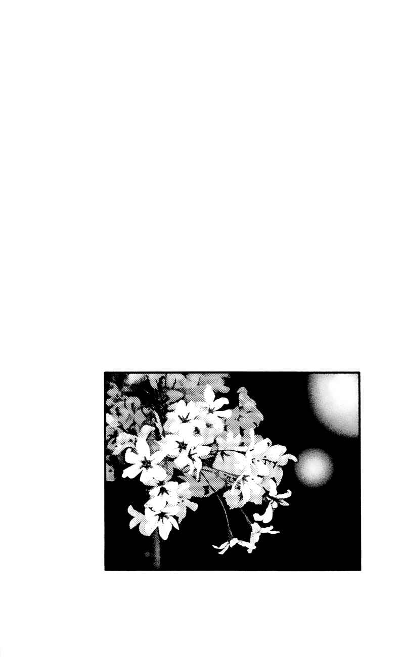Page 2 Chapter 55 For the Sake of the Rose