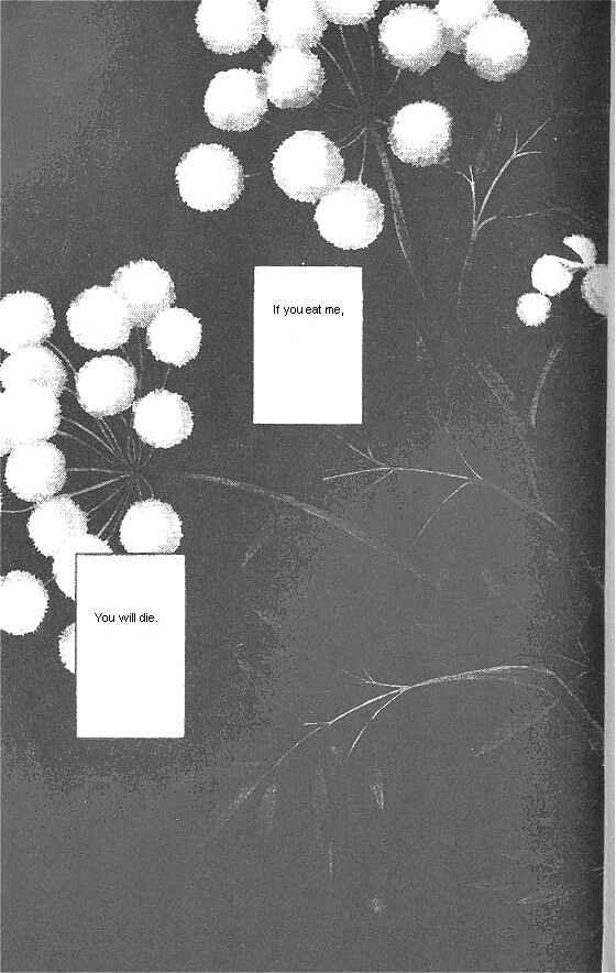 Page 3 Chapter 19 For the Sake of the Rose