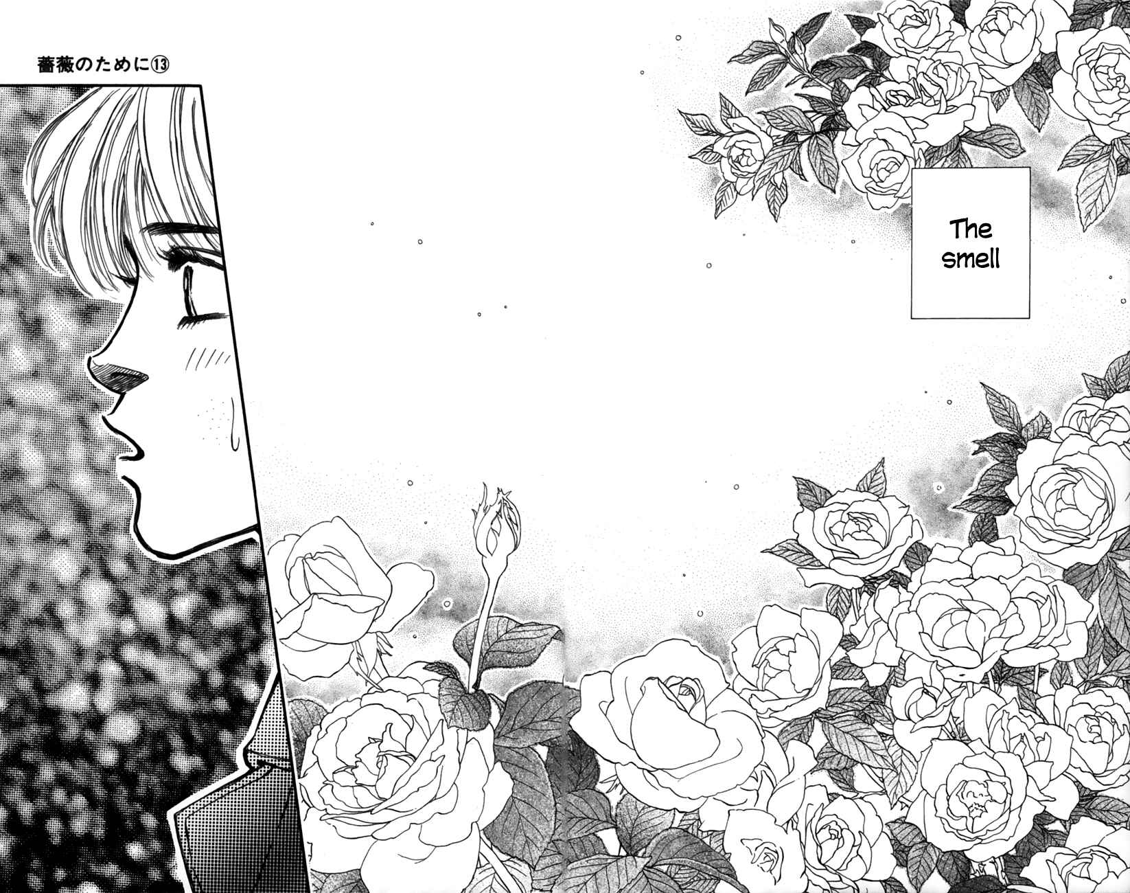 Page 17 Chapter 52 For the Sake of the Rose