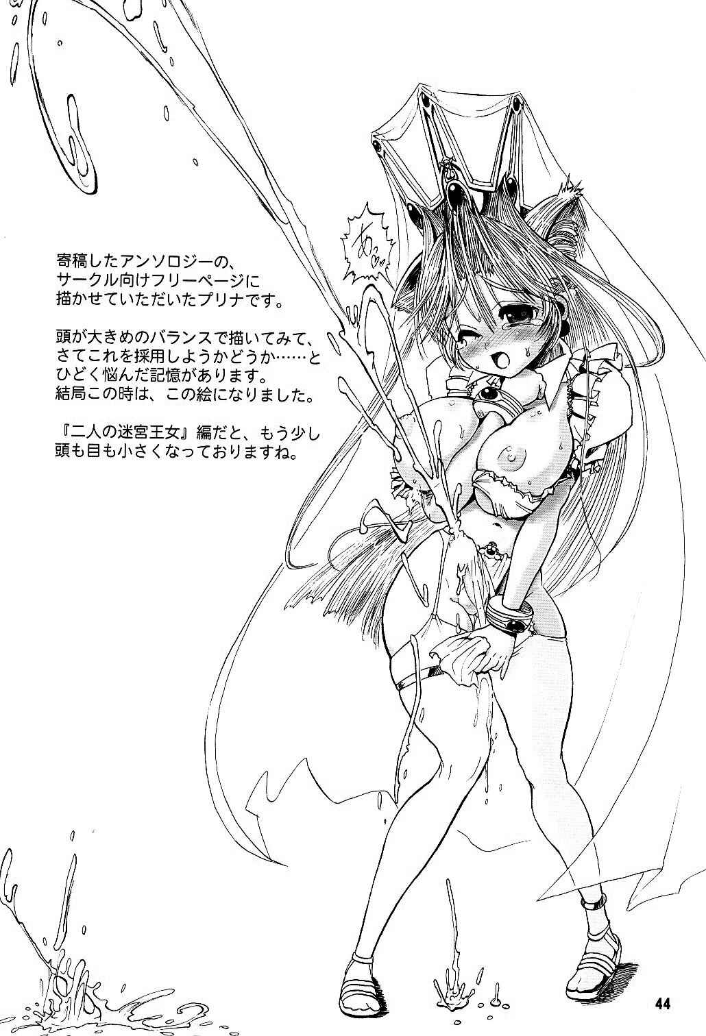 Page 43 Chapter 1 Futari no Meikyuu Oujo