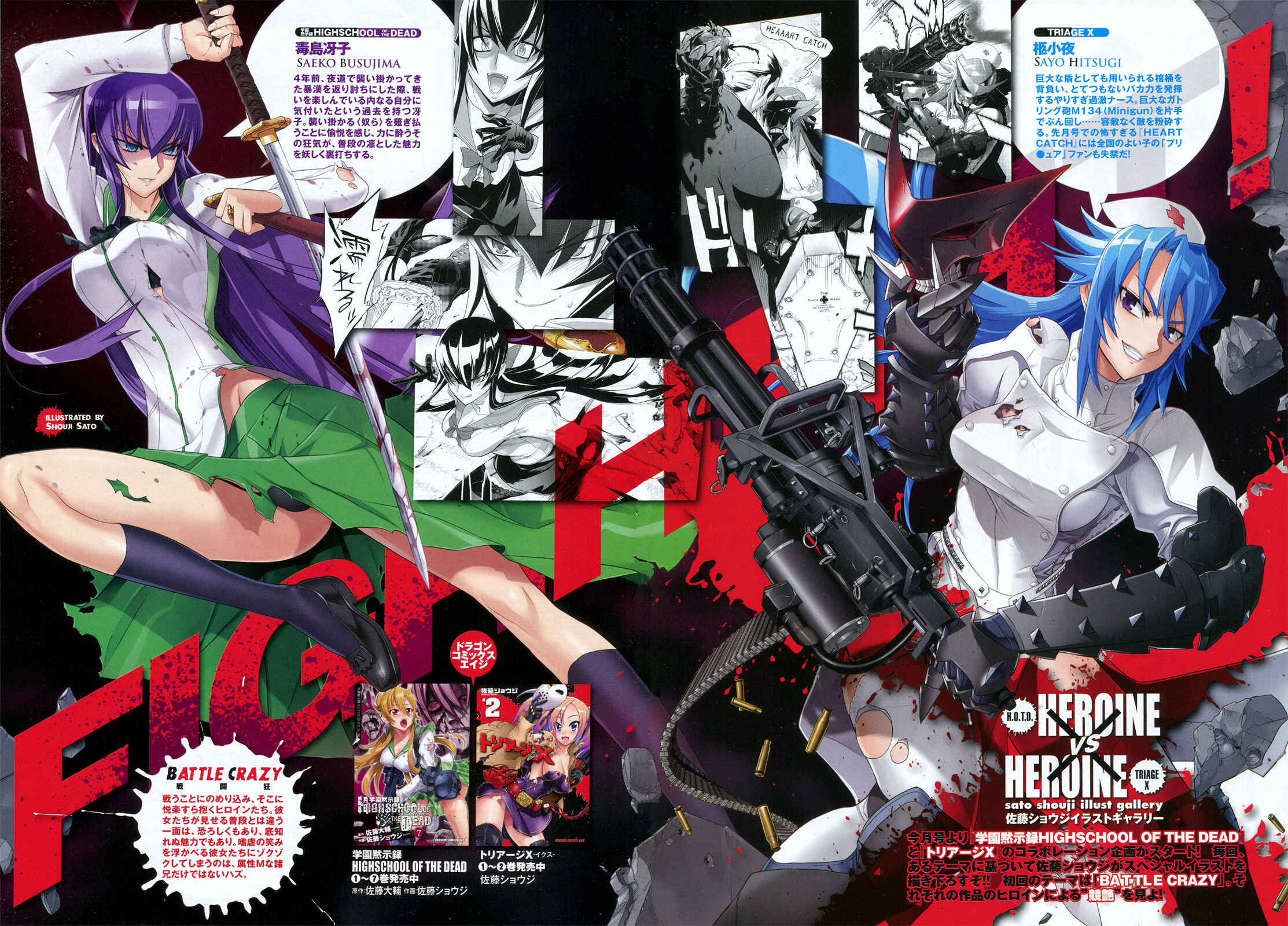 Page 2 Chapter 19.5 Triage X