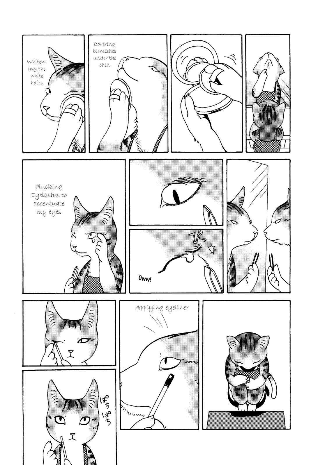 Page 3 Chapter 22 Terrarium in Drawer