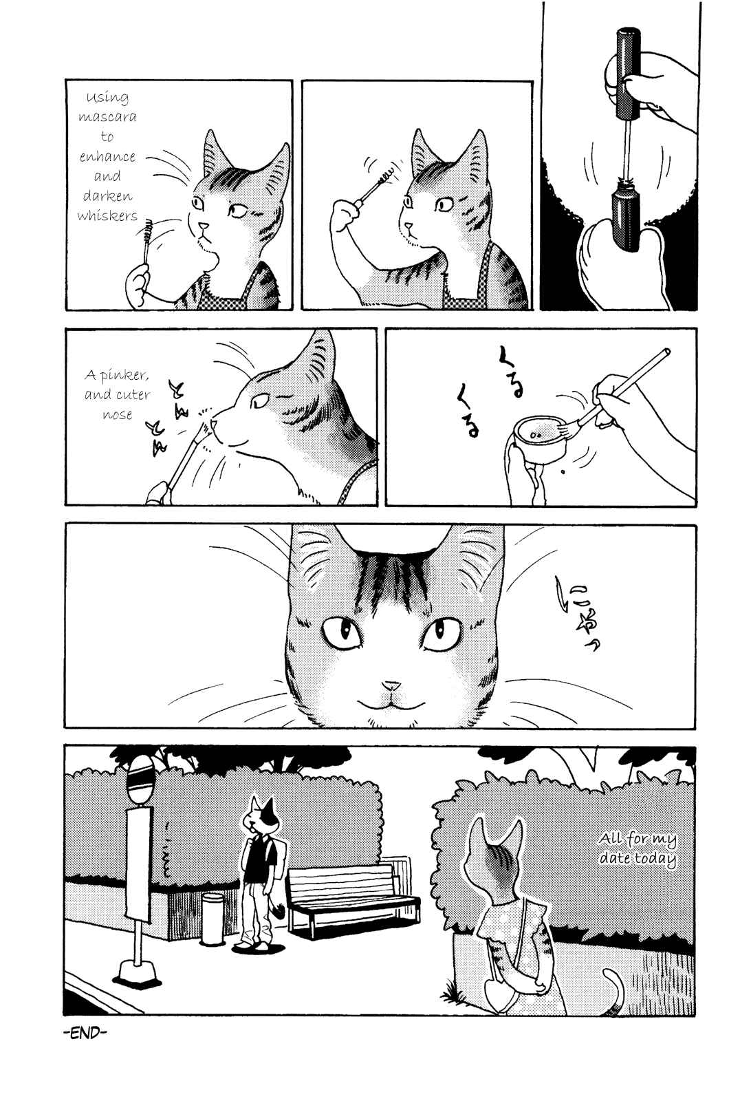 Page 4 Chapter 22 Terrarium in Drawer
