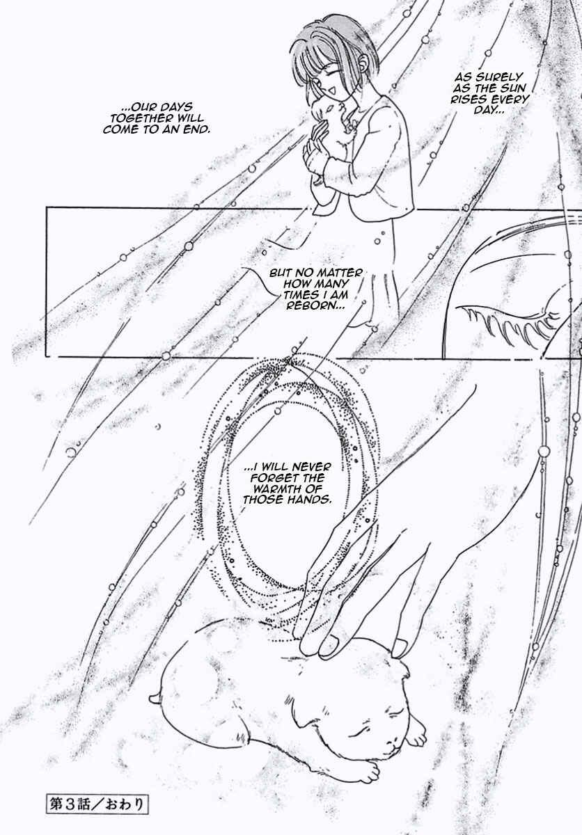 Page 52 Chapter 24 Pet Shop of Horrors
