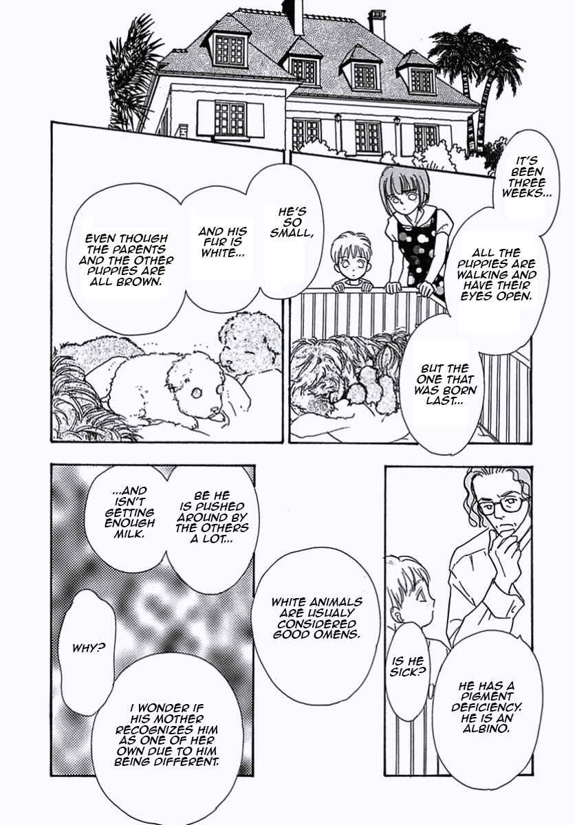 Page 8 Chapter 24 Pet Shop of Horrors