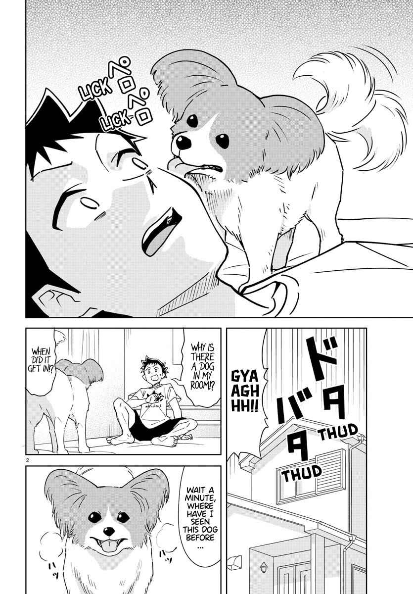 Page 2 Chapter 325 Atsumare! Fushigi Kenkyu-bu