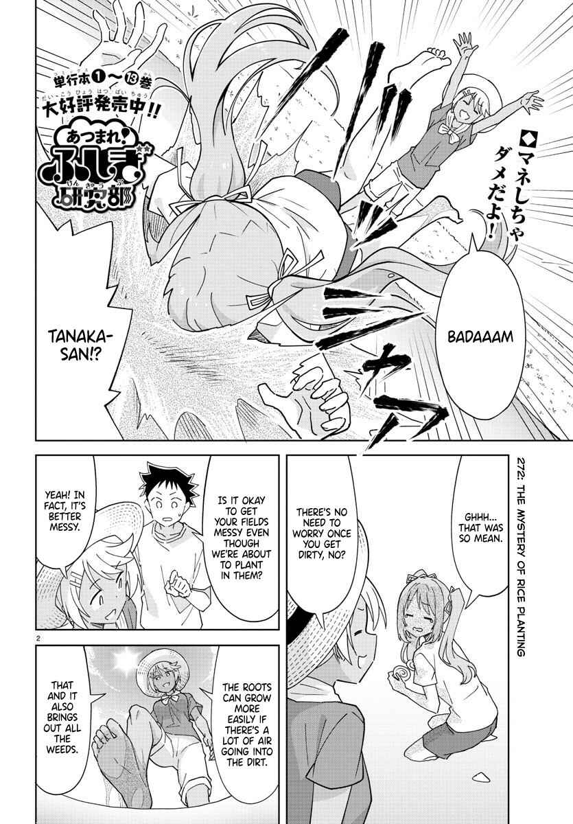 Page 2 Chapter 272 Atsumare! Fushigi Kenkyu-bu