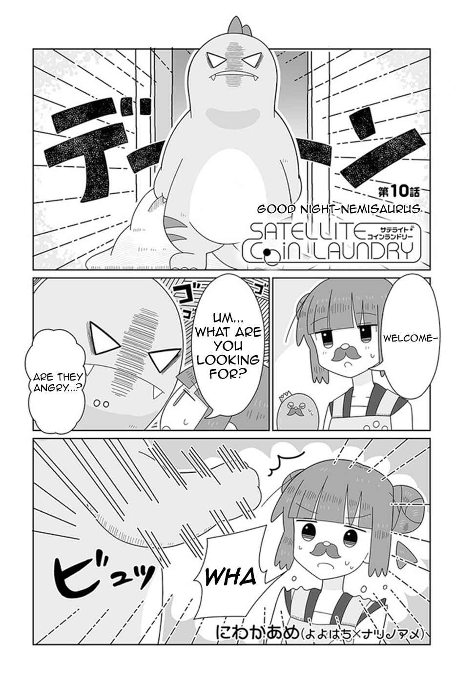 Page 2 Chapter 10 Satellite Coin Laundry