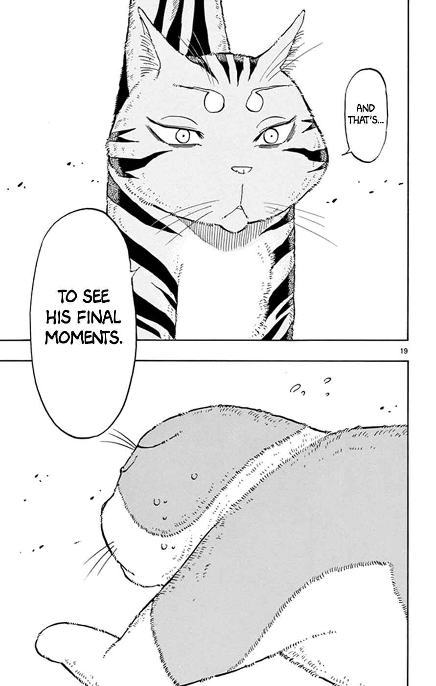 Page 19 Chapter 17 Saike Mata Shite mo