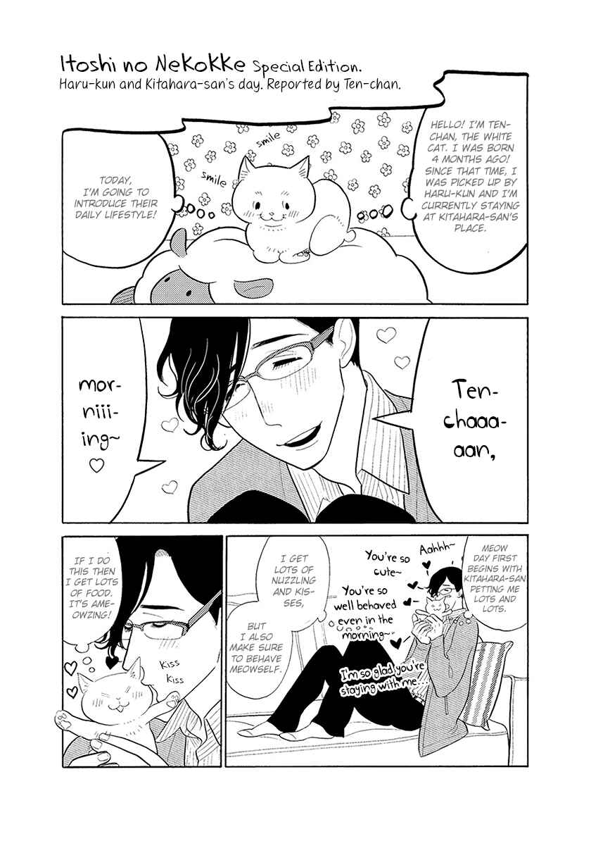 Page 21 Chapter 33 Itoshi no Nekokke