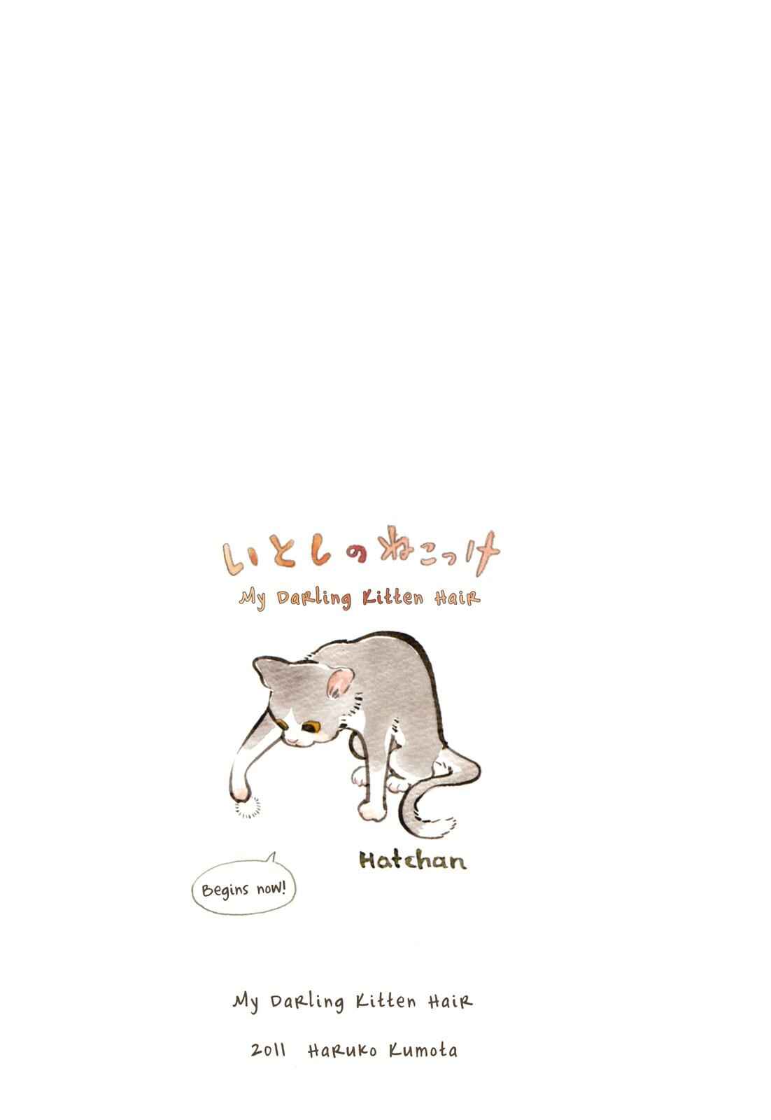 Page 7 Chapter 0 Itoshi no Nekokke