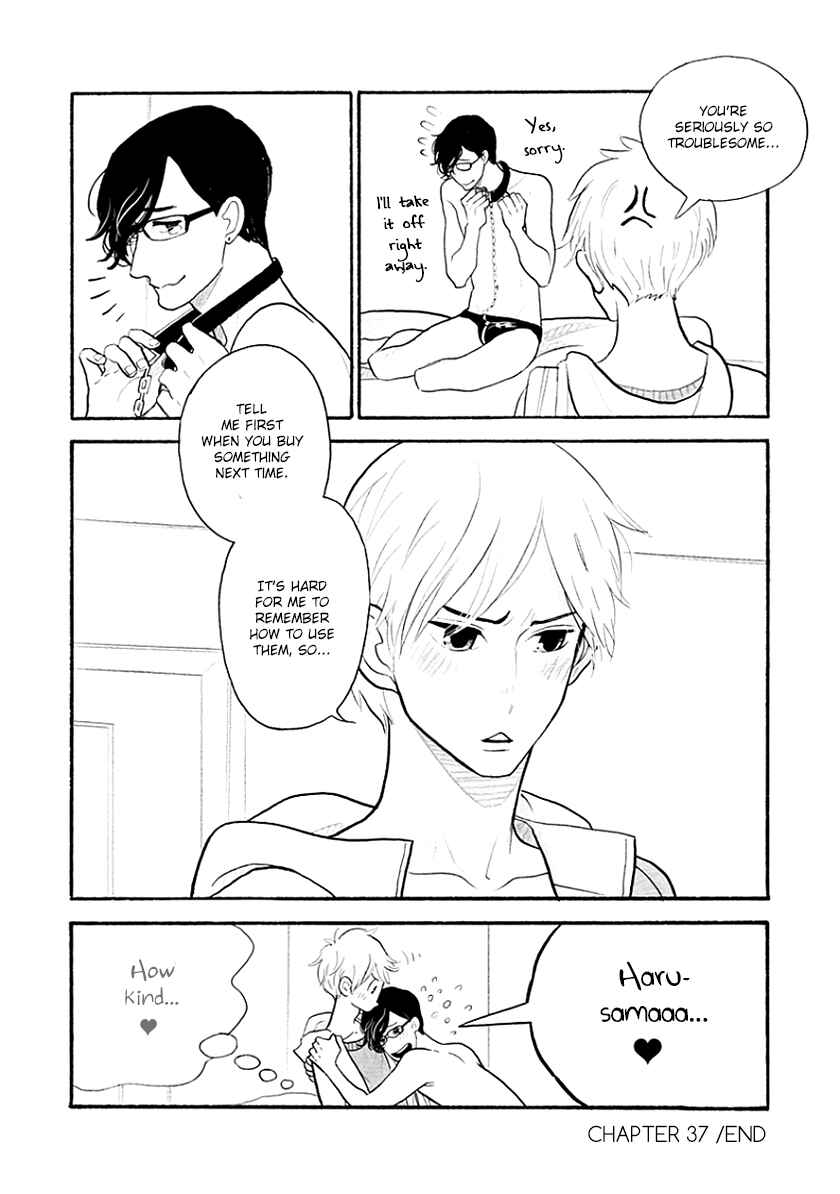 Page 17 Chapter 37 Itoshi no Nekokke