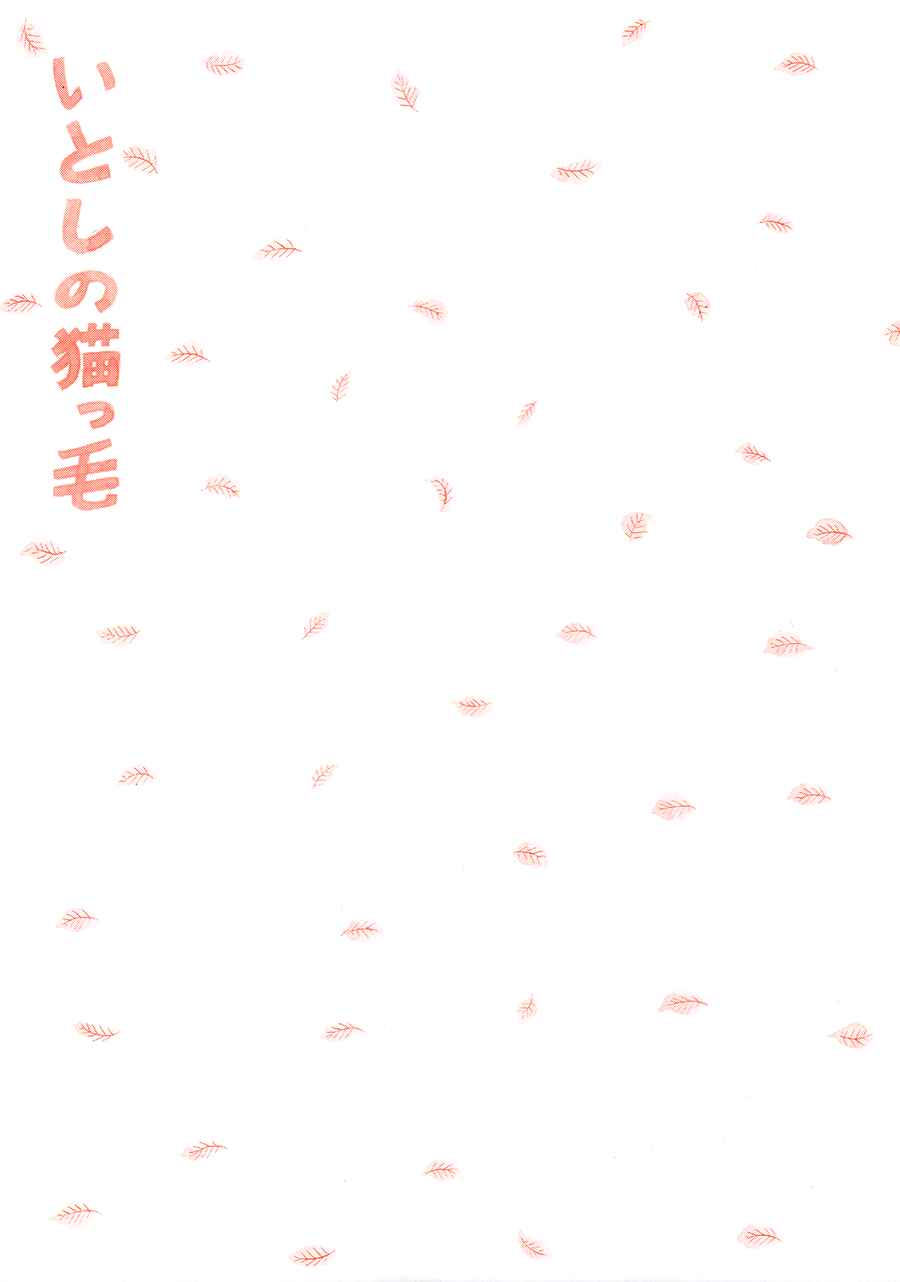 Page 5 Chapter 18 Itoshi no Nekokke