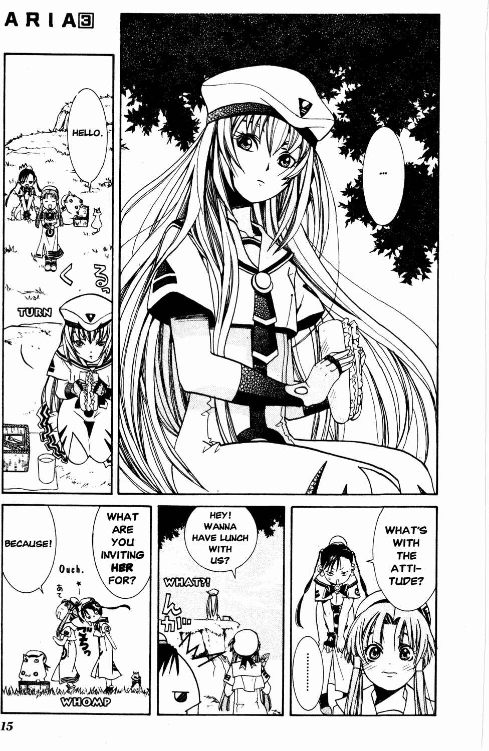 Page 17 Chapter 11 Aria