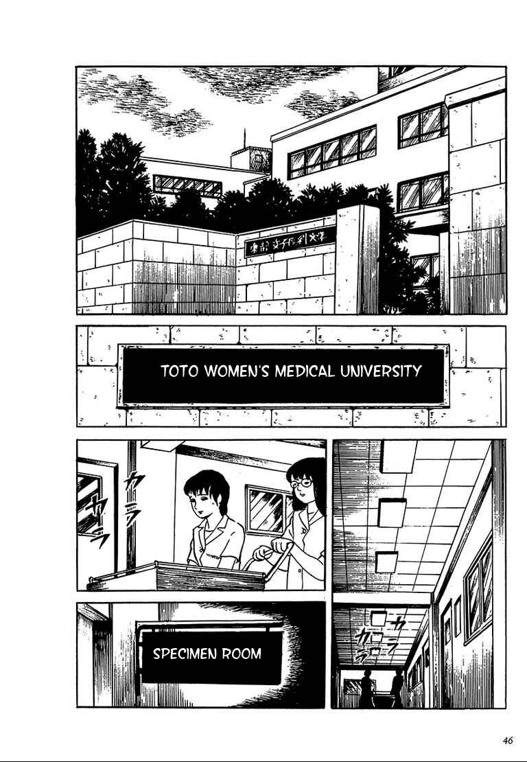 Page 3 Chapter 3 100 School Ghost Stories