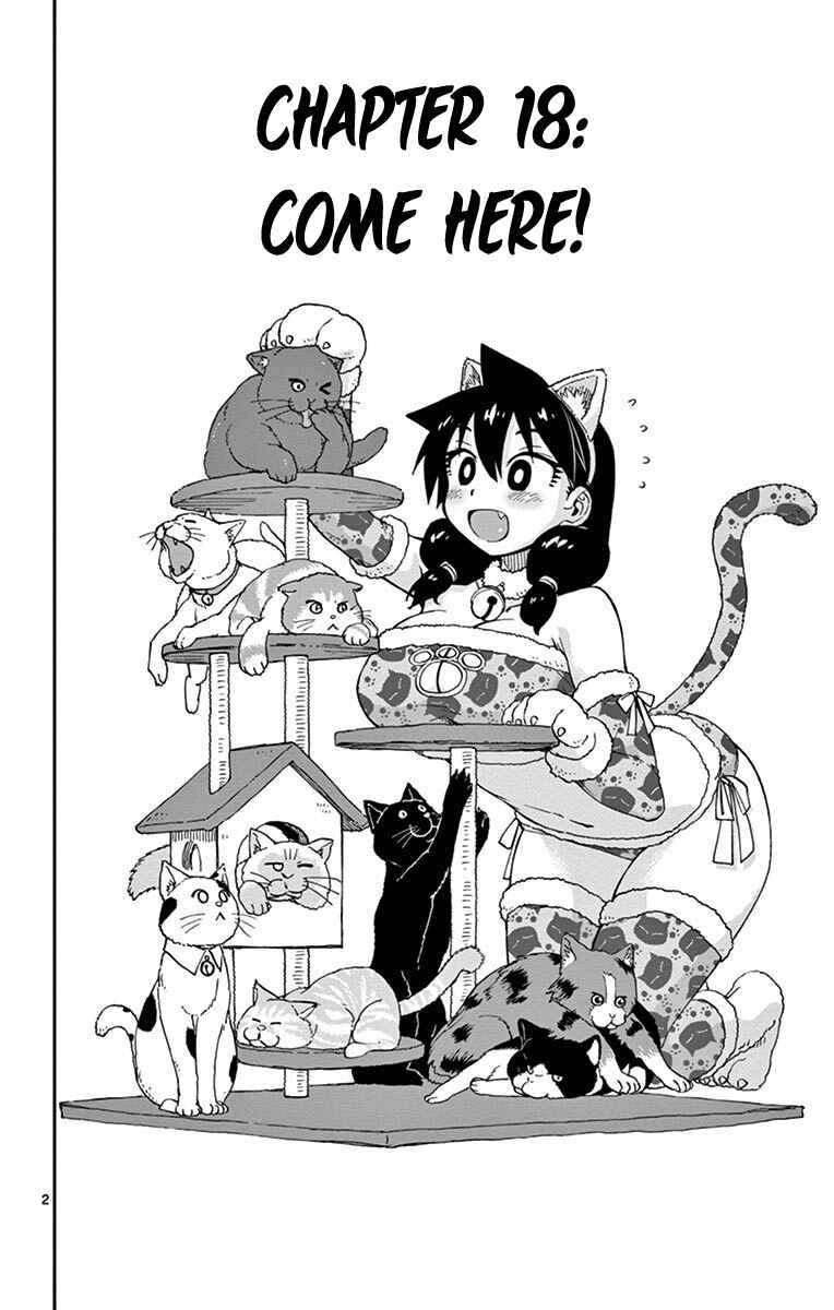 Page 2 Chapter 18 Amano Megumi wa Suki Darake!