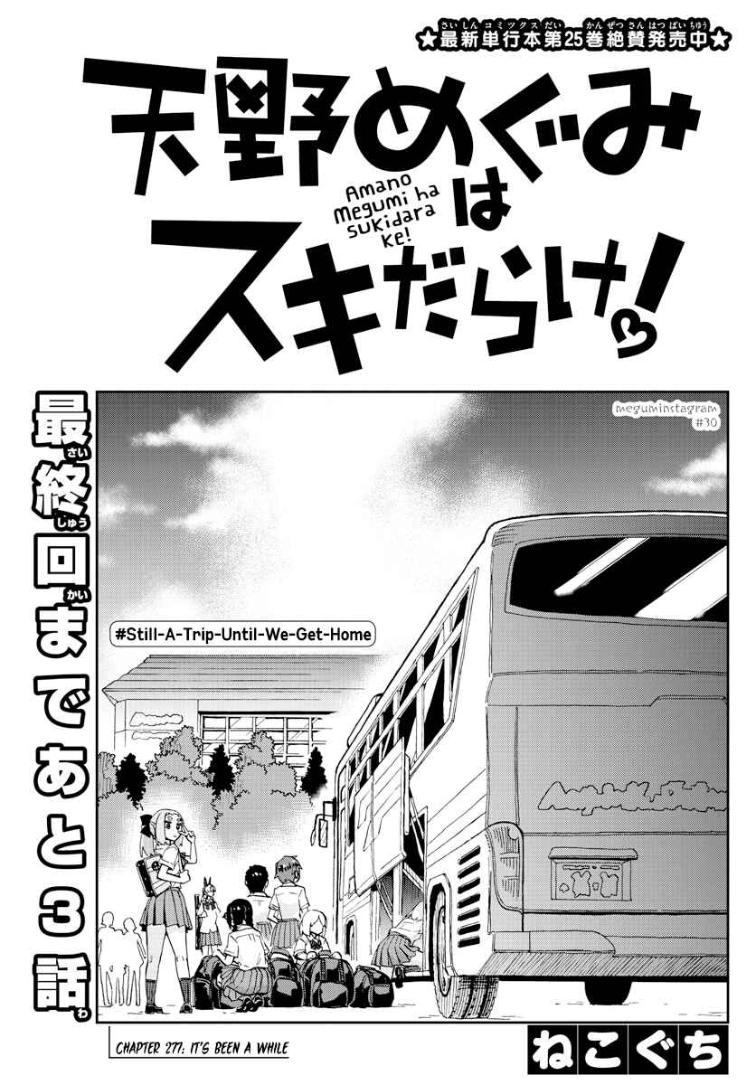 Page 3 Chapter 277 Amano Megumi wa Suki Darake!